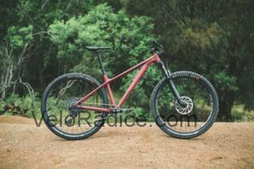 Canyon Stoic scheda tecnica 